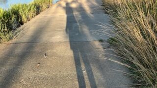 まぐれも実力。 まぐれの頻度を増やすために、まぐれの高さを増すために今日も明日も頑張るのです。