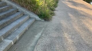 ディロードは完全休養よりスピードを意識した低重量・低回数が良いように思う。