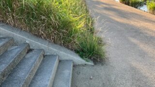 ダンクしたいならジャンプ力UPに特化したトレーニングをすべき。特異性の原理に従って行動するのが最短である。