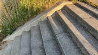 スピードを出すためには筋力が必要。狩るものでも早く動かそうとすると筋力が必要なの。なので、筋力強化＝高重量というわけではないってことがわかった。