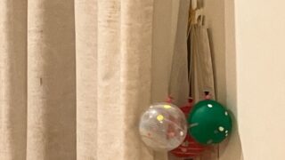 ジャンプはお腹の大きな風船をつぶして跳ね返る感じがいい